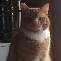 16864062_10210451219570721_9057044422859560000_n