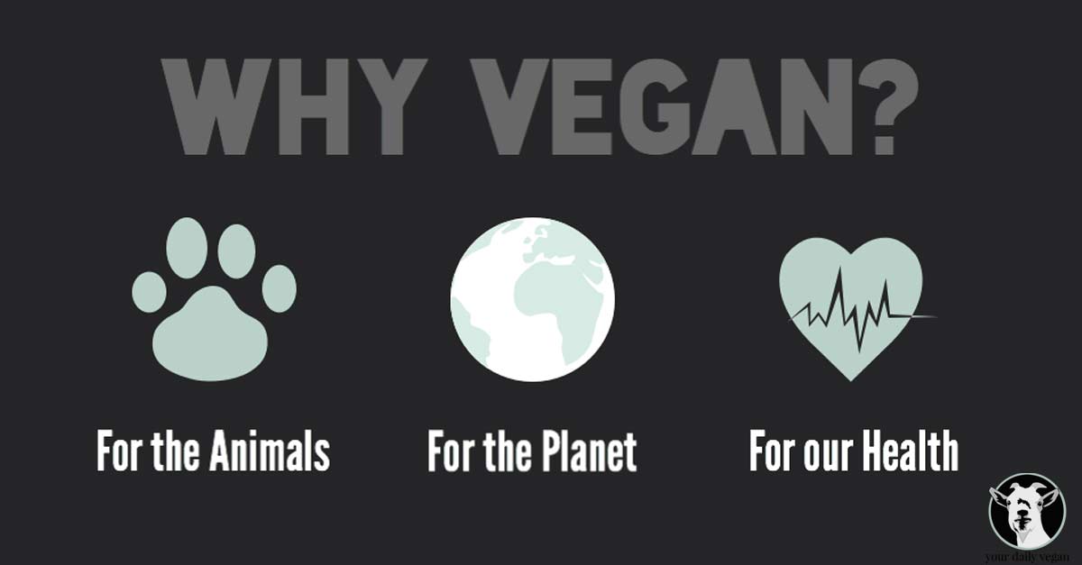 why-vegan-fb