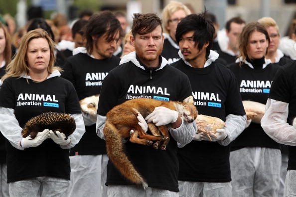 Animal Activists Hold Memorial For Dead Animals In Federation Square